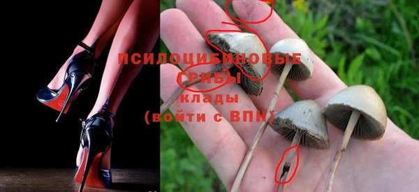 не бодяженный Абдулино