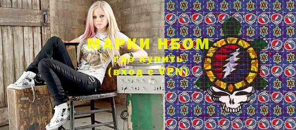 прущие грибы Абинск