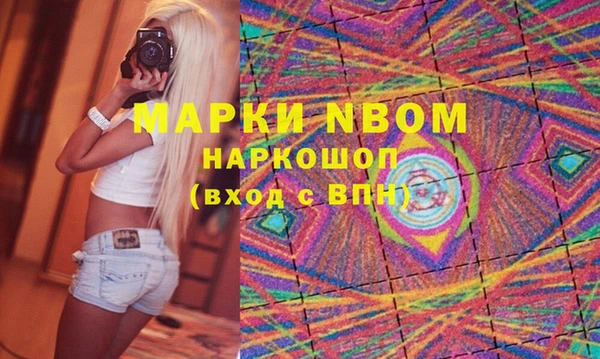 прущие грибы Абинск