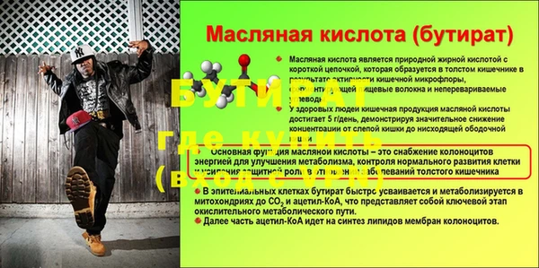 прущие грибы Абинск