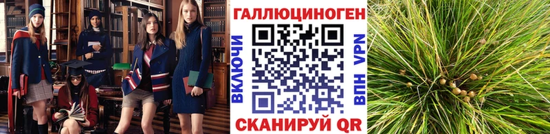 Галлюциногенные грибы MAGIC MUSHROOMS где купить Благодарный