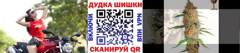 Конопля конопля  Благодарный 